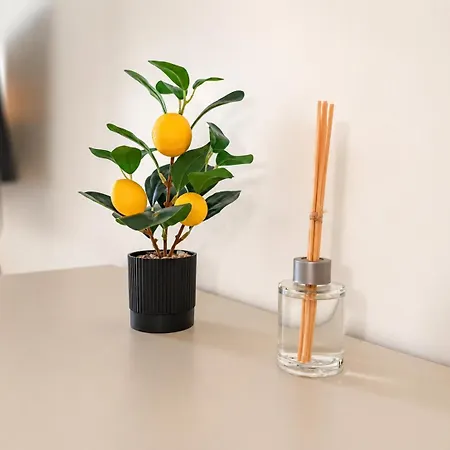 Vivo L Design L Parkplatz Appartement Ingelheim am Rhein